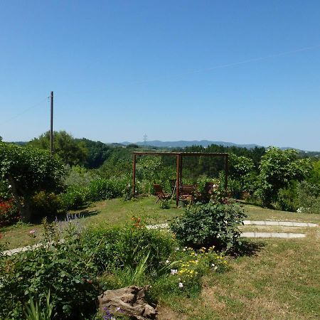 Agriturismo Poggio Al Tesoro Crespina Dış mekan fotoğraf