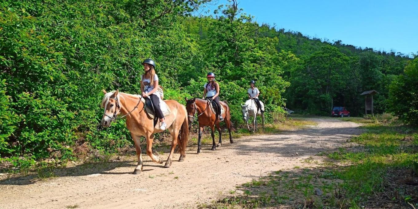 Agriturismo Poggio Al Tesoro Crespina Dış mekan fotoğraf