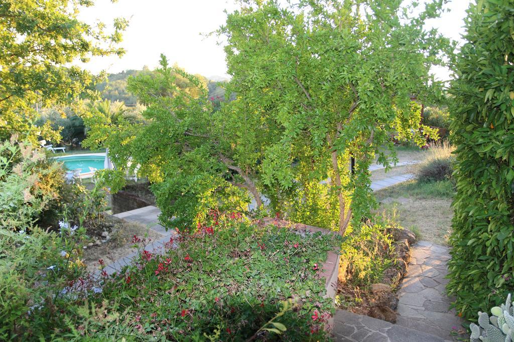 Agriturismo Poggio Al Tesoro Crespina Dış mekan fotoğraf
