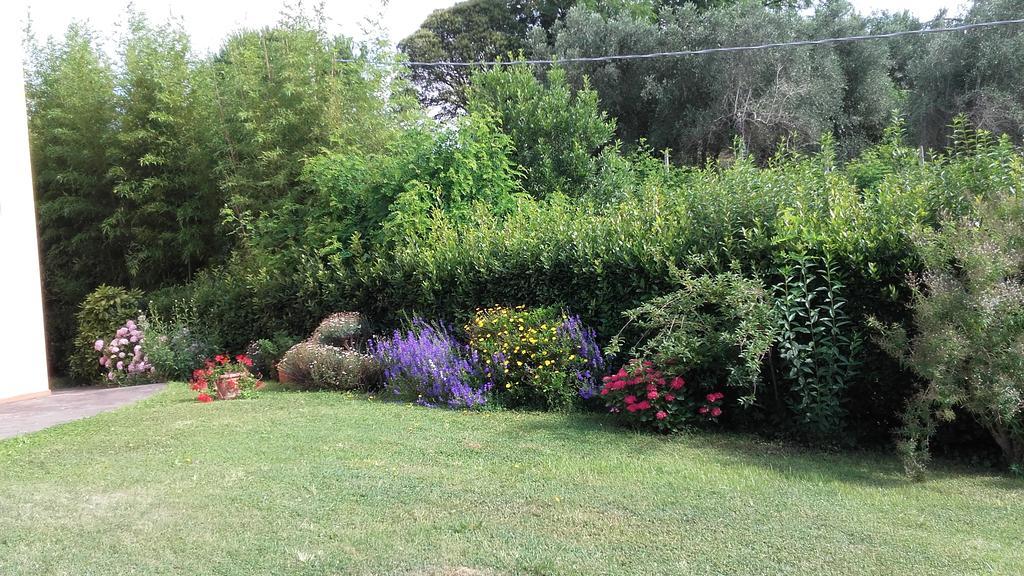 Agriturismo Poggio Al Tesoro Crespina Dış mekan fotoğraf