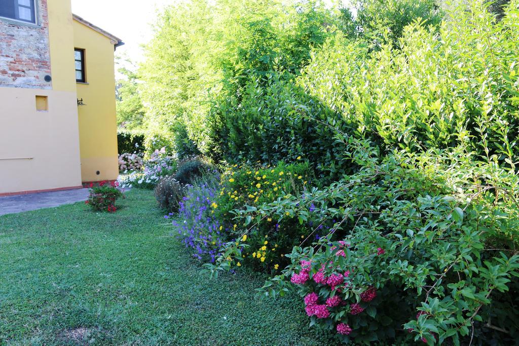 Agriturismo Poggio Al Tesoro Crespina Dış mekan fotoğraf